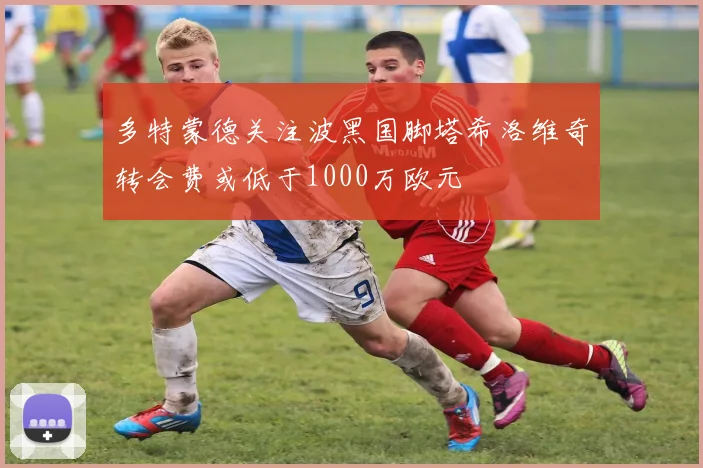 多特蒙德关注波黑国脚塔希洛维奇转会费或低于1000万欧元